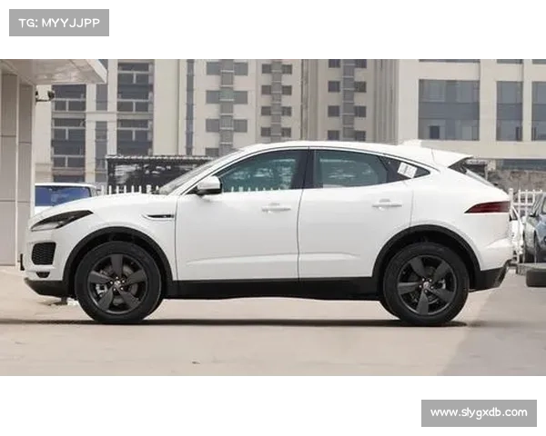“豹子”发威了!新款E-PACE实拍,跨界造型更激进,还买啥奥迪Q3 “豹子”发威了!新款E-PACE实拍,跨界造型更激进,还买啥奥迪Q3