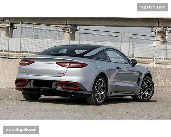 从吉利美人豹到比亚迪仰望 那些国人基本没见过的中国跑车