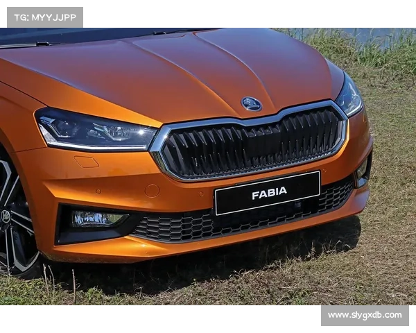 全新现代设计 新款斯柯达Fabia晶锐